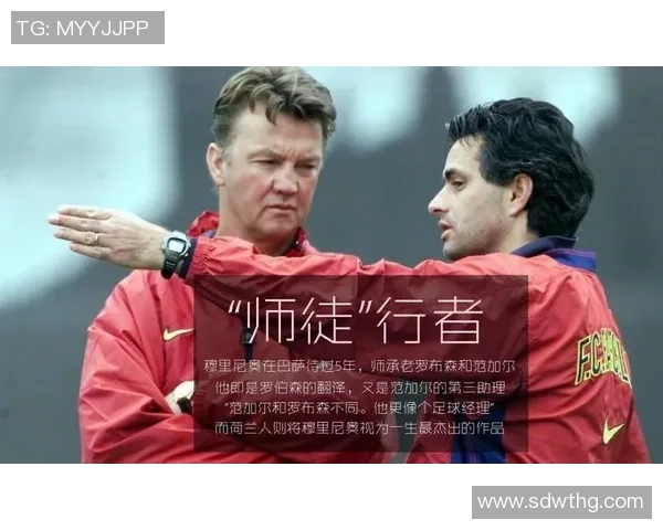 足球球星伤残赔偿标准解析与相关法律规定详解