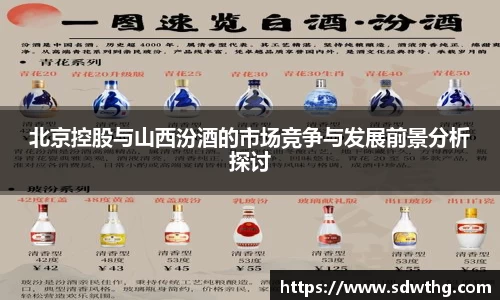 北京控股与山西汾酒的市场竞争与发展前景分析探讨
